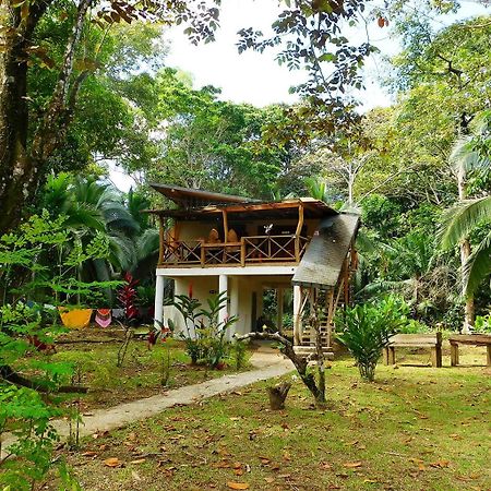 Green Corner Cahuita Exteriör bild