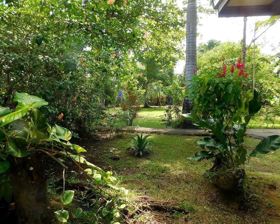 Green Corner Cahuita Exteriör bild