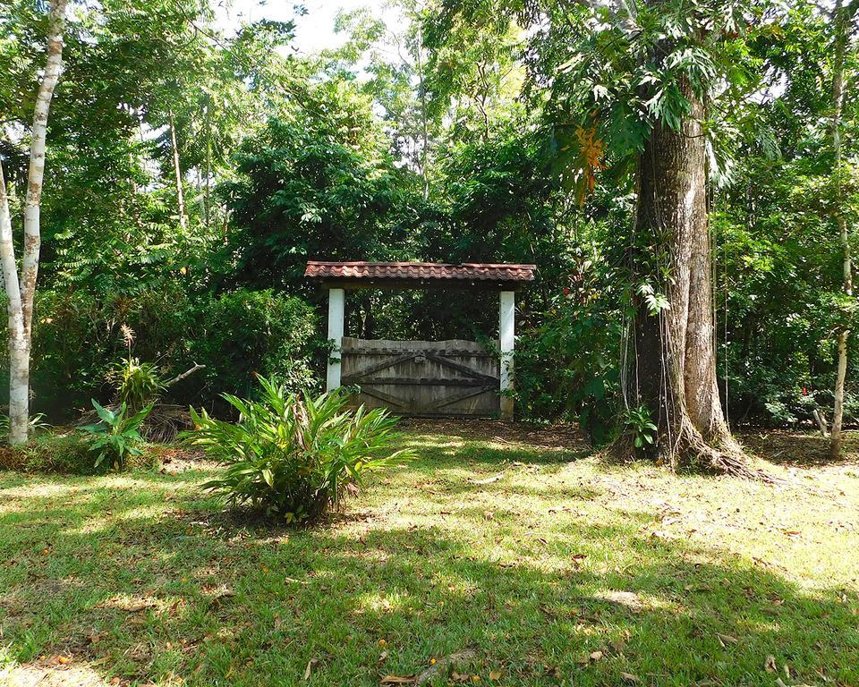Green Corner Cahuita Exteriör bild