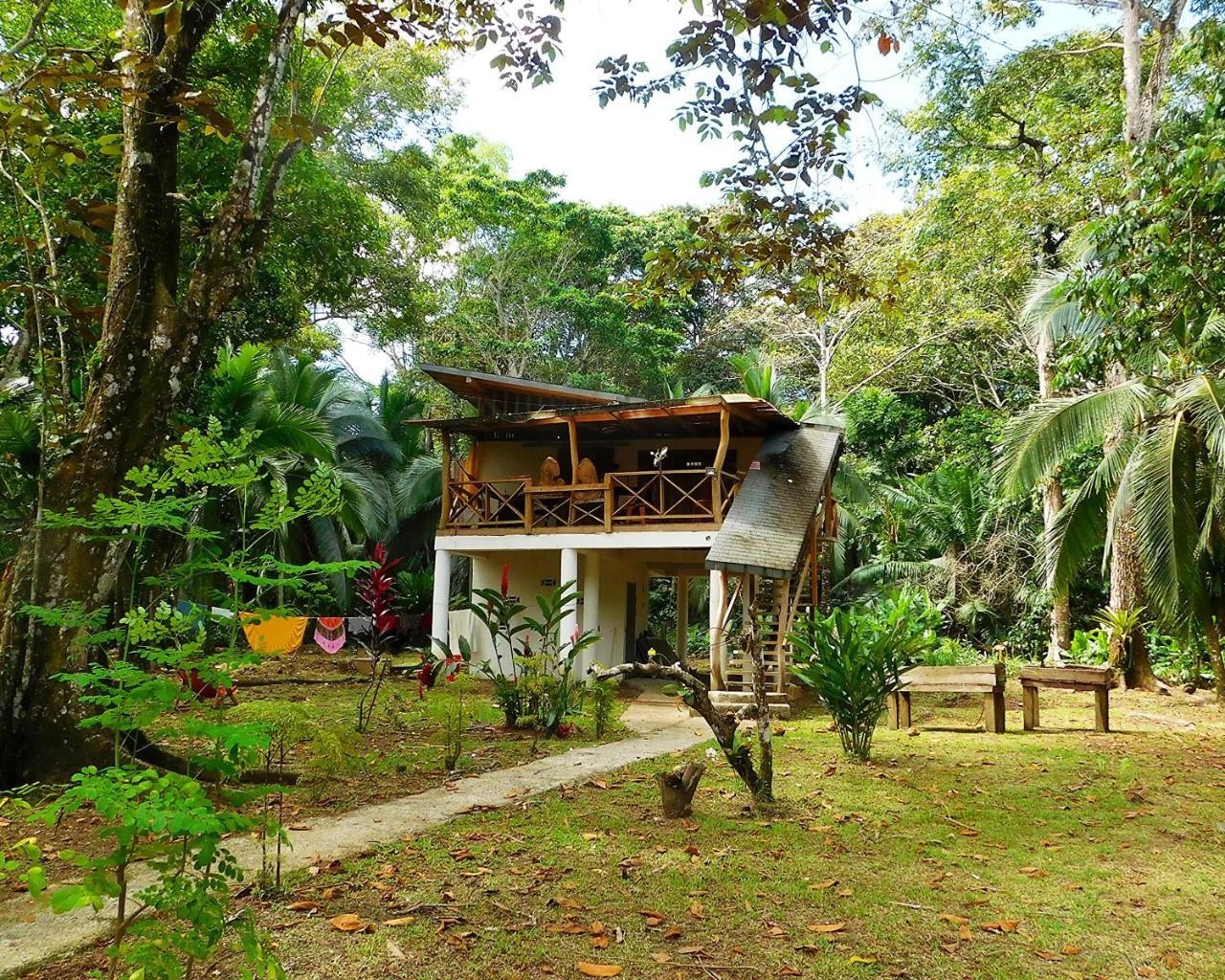 Green Corner Cahuita Exteriör bild